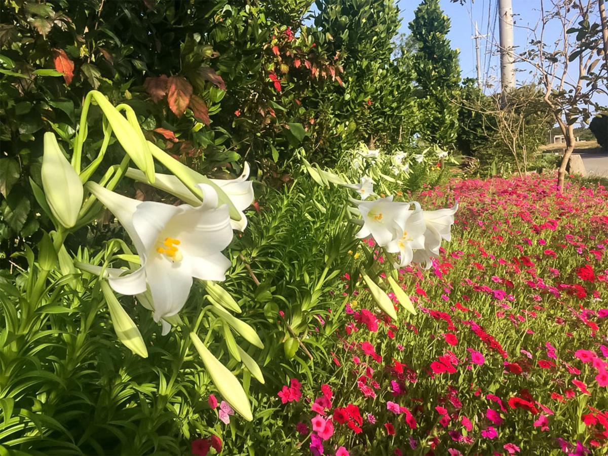 ホテル ペンション道半（んつなか） 宮古島市 エクステリア 写真